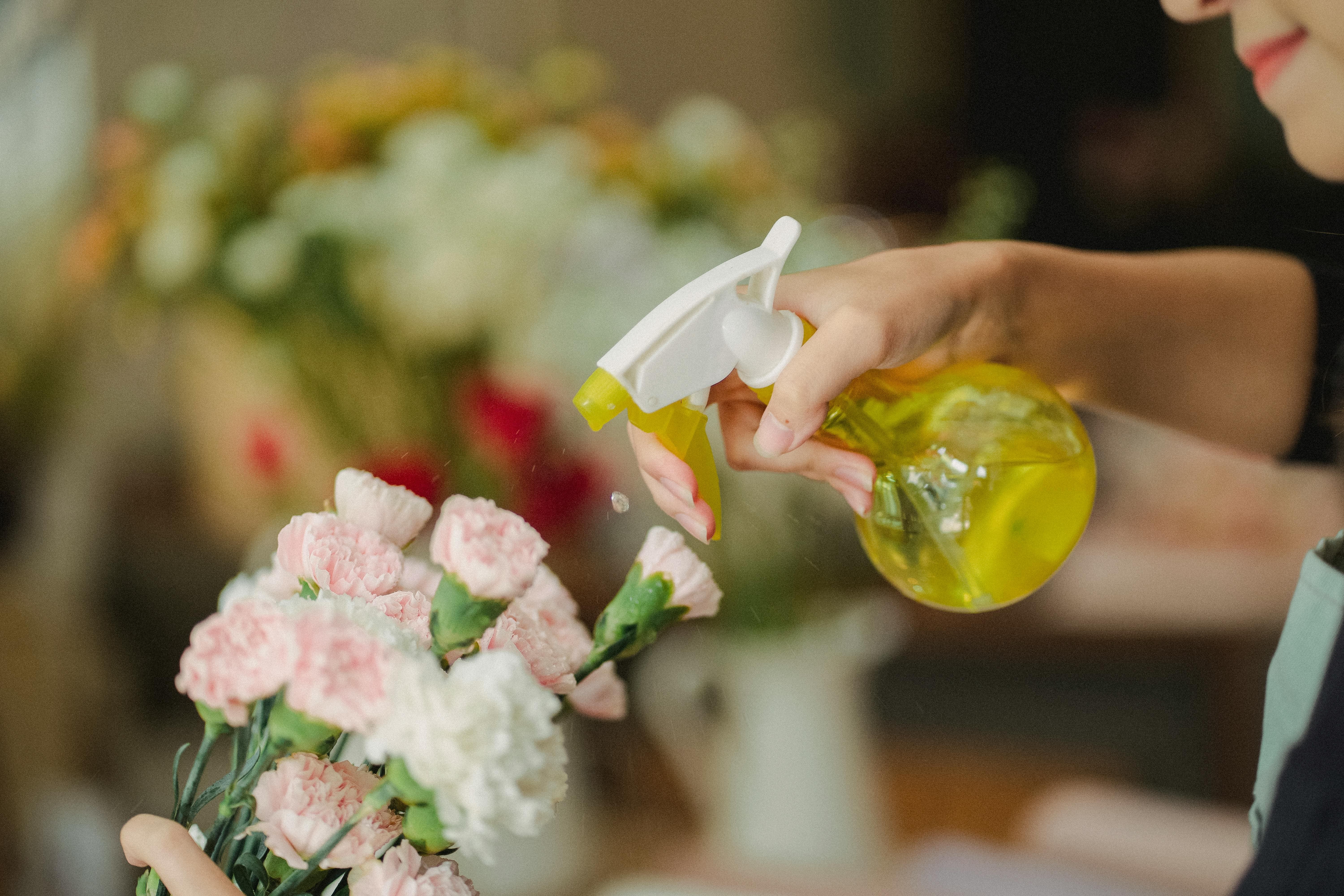 Hands watering flowers
