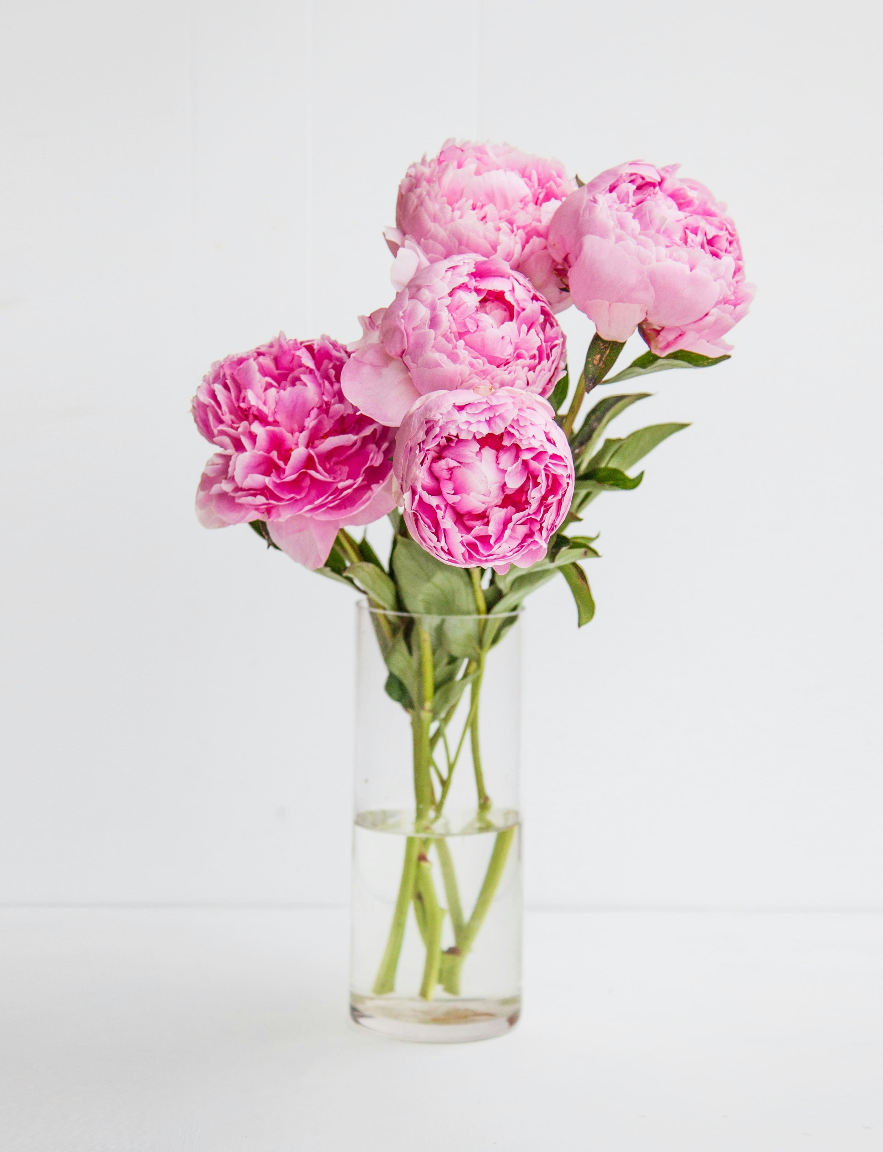 Pink ponies bouquet